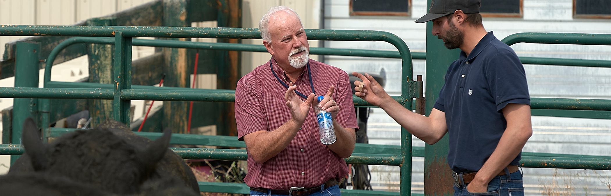 Two men discussing agricultural needs alongside cattle.