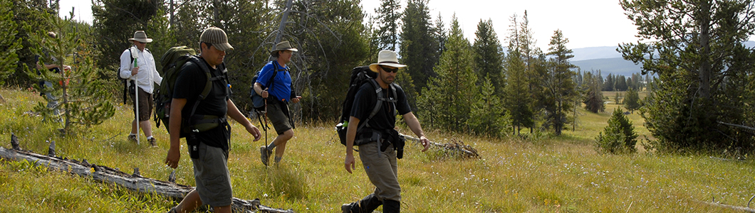 Graduate Biological Sciences (Ecology)