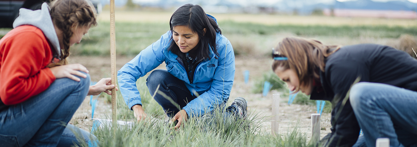 Three women crouch on the ground, taking measurements on a patch of land.