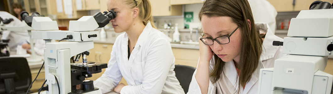 Two women study samples in a laboratory.