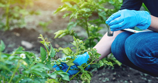 Environmental Sciences