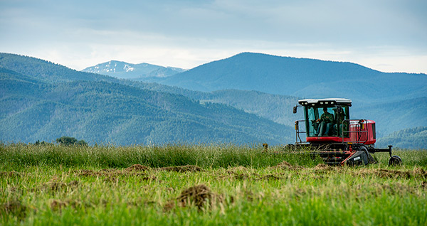 Farm & Ranch Management
