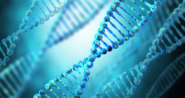 Genetics