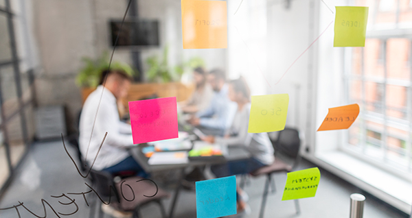 Innovation and Management