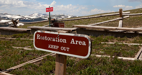 Land Rehabilitation