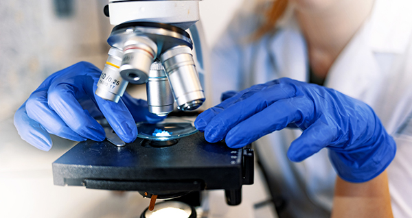 Molecular Biosciences