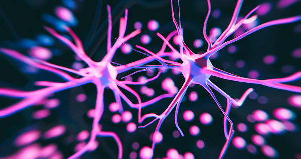 Neuroscience