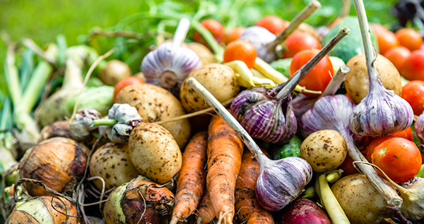 Restaurant Management: Farm-to-Table