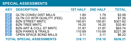 In the example tax statement, there are three special assessments totaling $636.21. The first is the Gallatin County Conservation District Mills, amounting to $3.59.