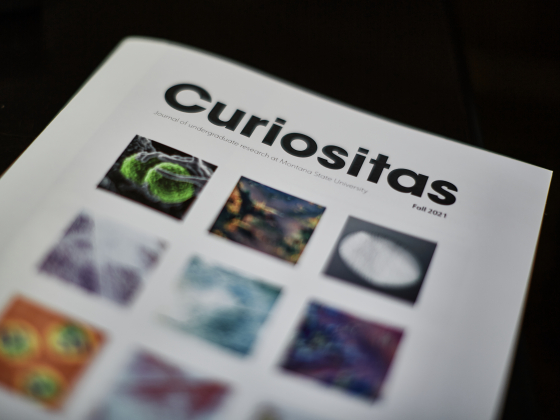 Curiositas