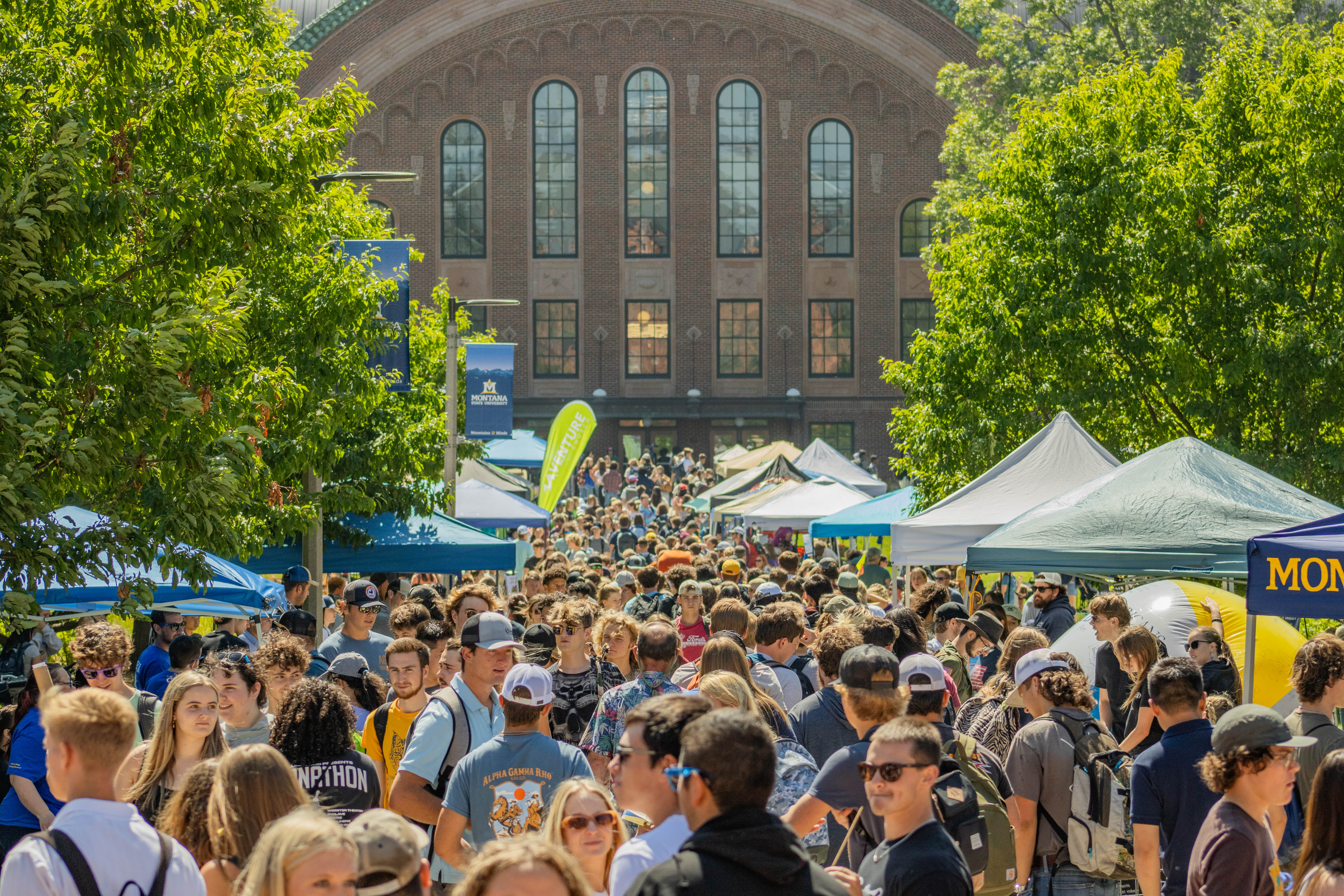 Main Catapalooza Event Area