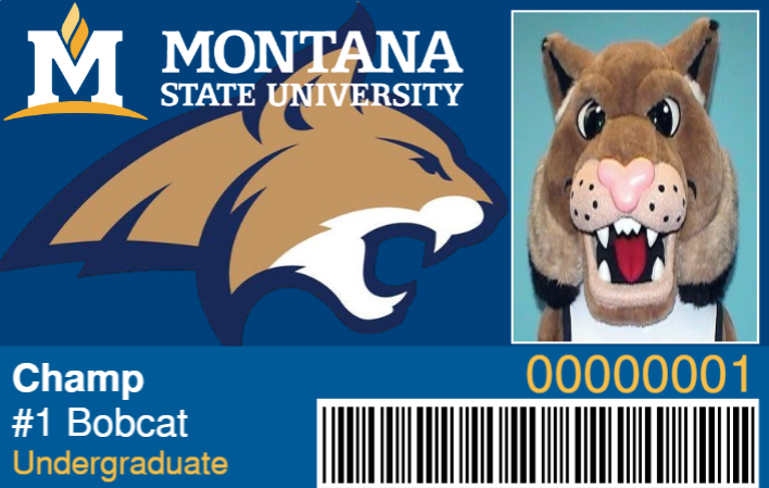 Champ CatCard