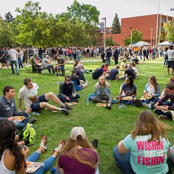 student sitting outside on grass in Romney Oval 