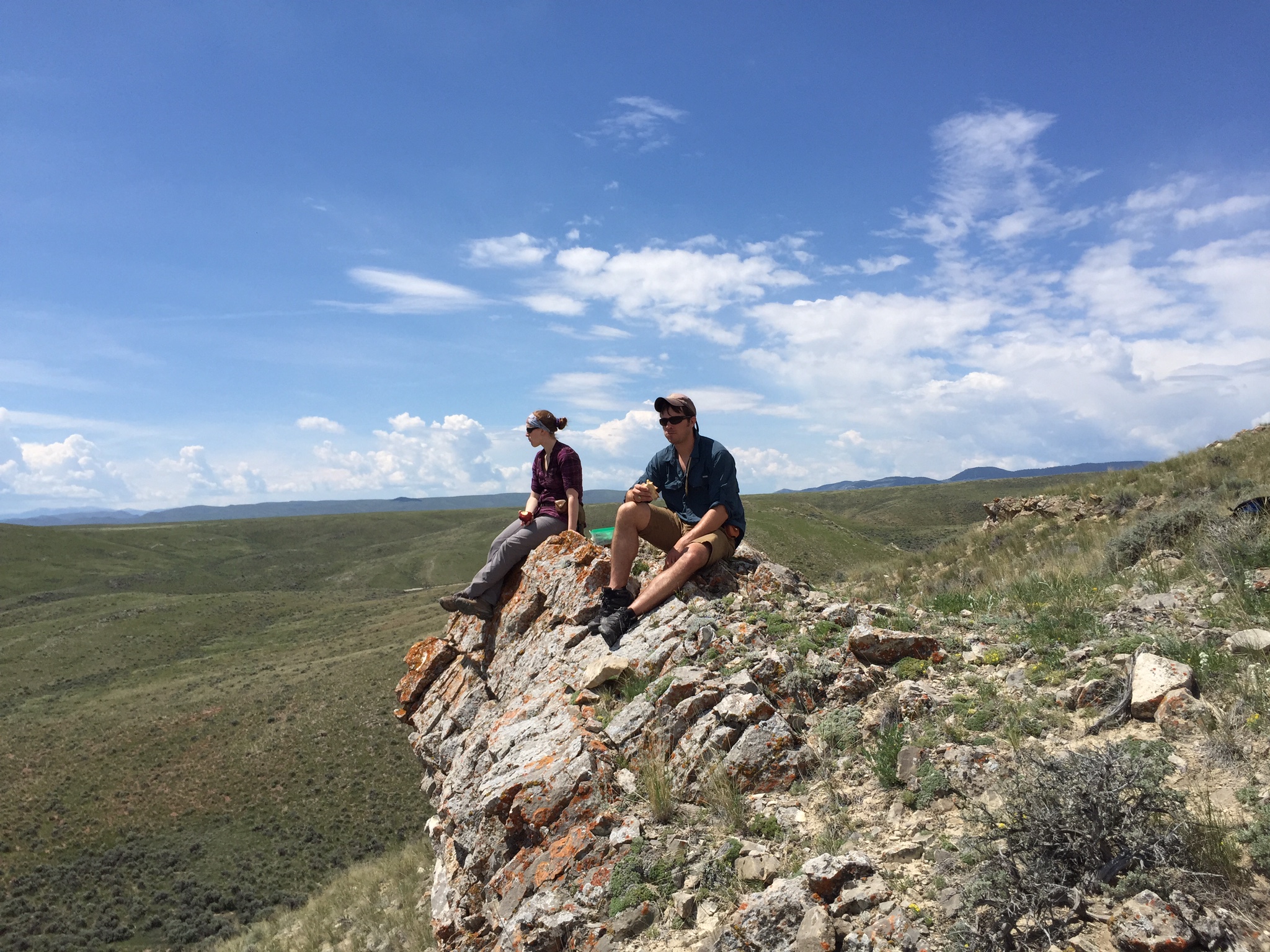 Put Image Description Here