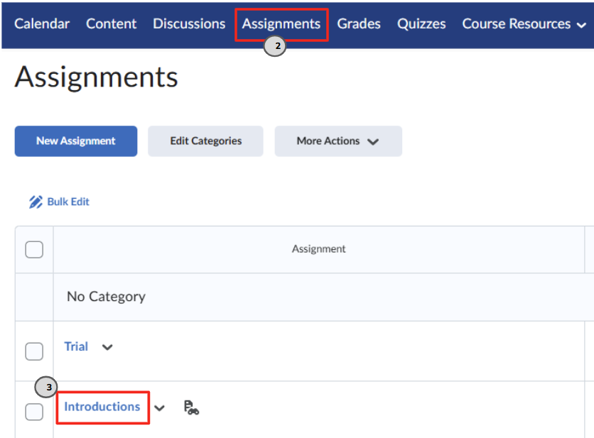 D2L assignments page featuring the assignments section in the navbar outlined in red, with the assignment title 'Introductions' also highlighted in red.