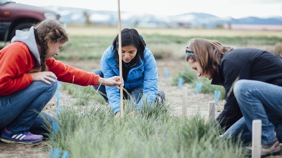 Women in the field