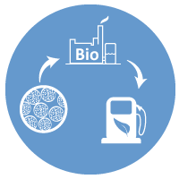 EnergyBioIcon