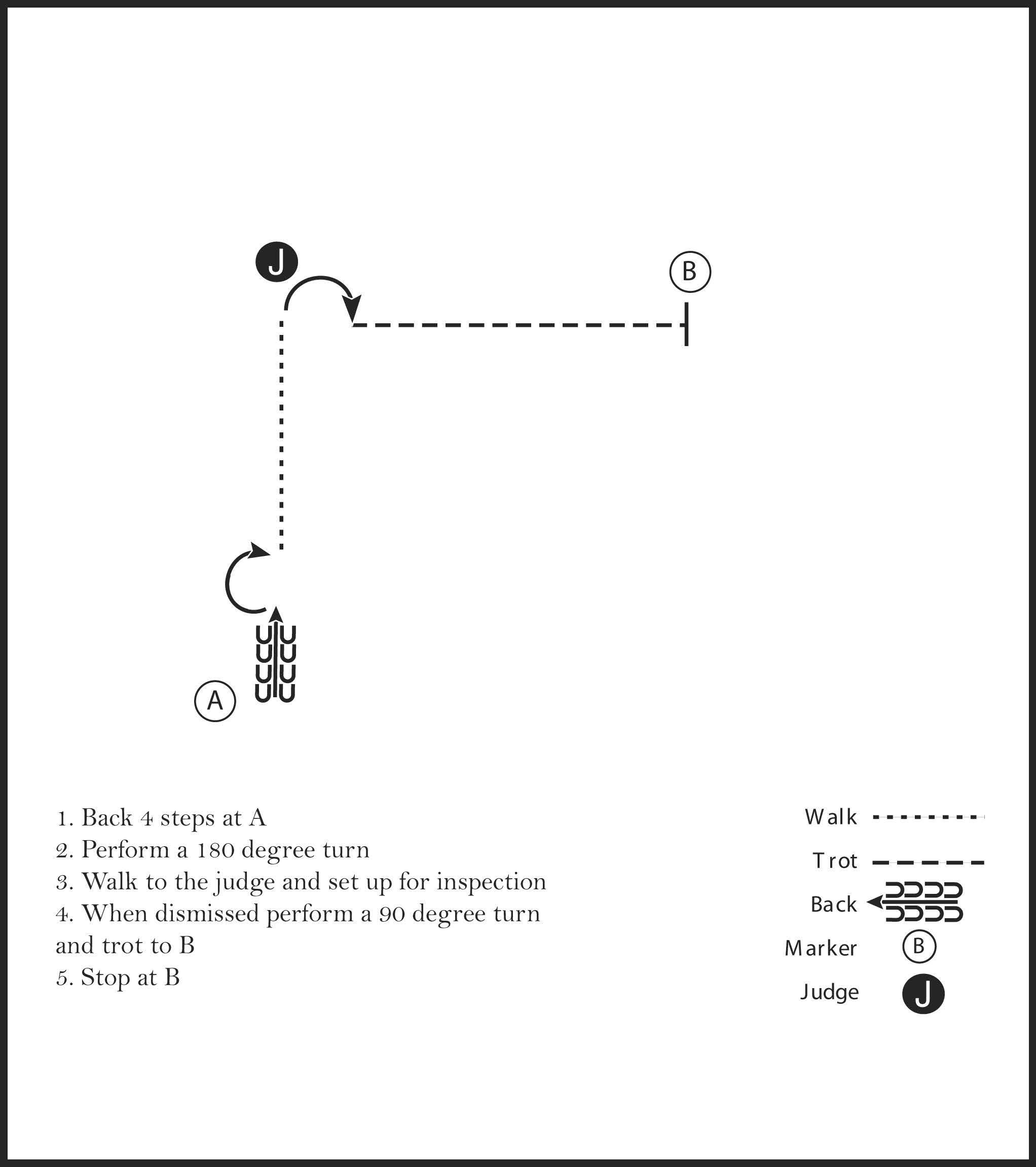 This image is a diagram of a showmanship pattern involving a judge and a participant that is instructed to back four steps, perform a 180-degree turn, walk to the judge for inspection, then, after being dismissed, execute a 90-degree turn, trot, and stop.