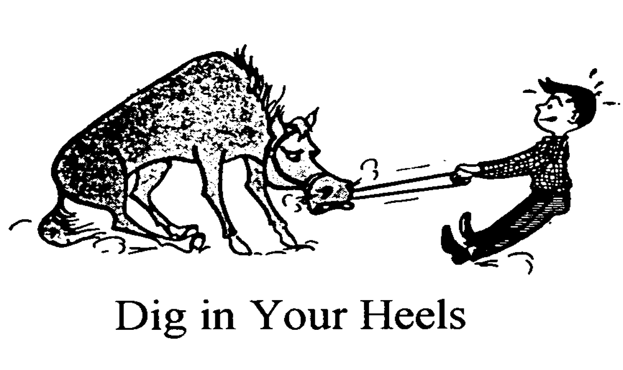 Graphic of person pulling a horse by it's reins, both digging their heels into the ground pulling away from each other. "Dig in your heels" reads at the bottom.