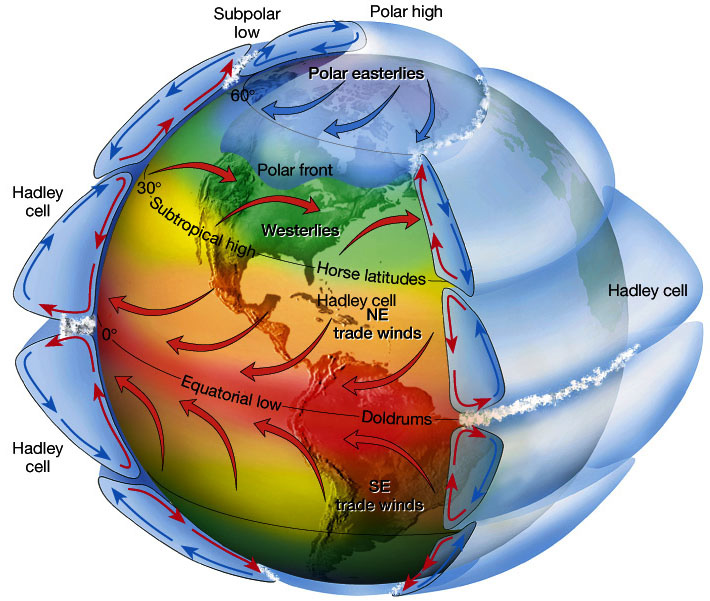 Illustration of global atmospheric circulation showing Hadley, Ferrel, and Polar circulation cells, prevailing winds, pressure belts, and major climate zones from the equator to the poles.