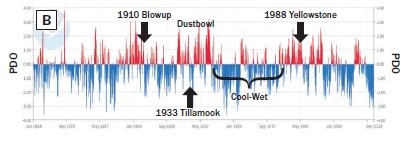 Bar chart labeled “B” showing the Pacific Decadal Oscillation (PDO) index from approximately 1900 to 2020. Red bars above zero indicate positive PDO values, and blue bars below zero indicate negative PDO values. The vertical axis ranges from about −4 to 4. Major events are marked with arrows, including the 1910 Blowup wildfire, the Dust Bowl, the 1933 Tillamook fire, and the 1988 Yellowstone fires. A bracket highlights a prolonged cool-wet period during the mid-to-late twentieth century. PDO values fluctuate between positive and negative phases throughout the record.