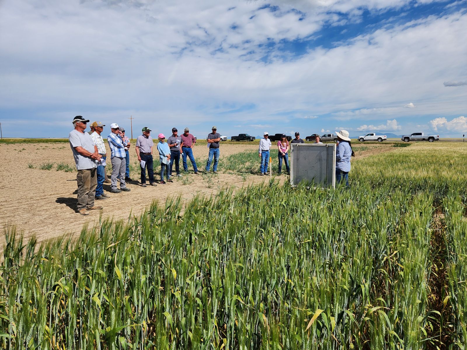 Liberty County producers listen intently as Sue Mondal, MSU Winter Wheat Breeder, gives an update on winter wheat varieties.