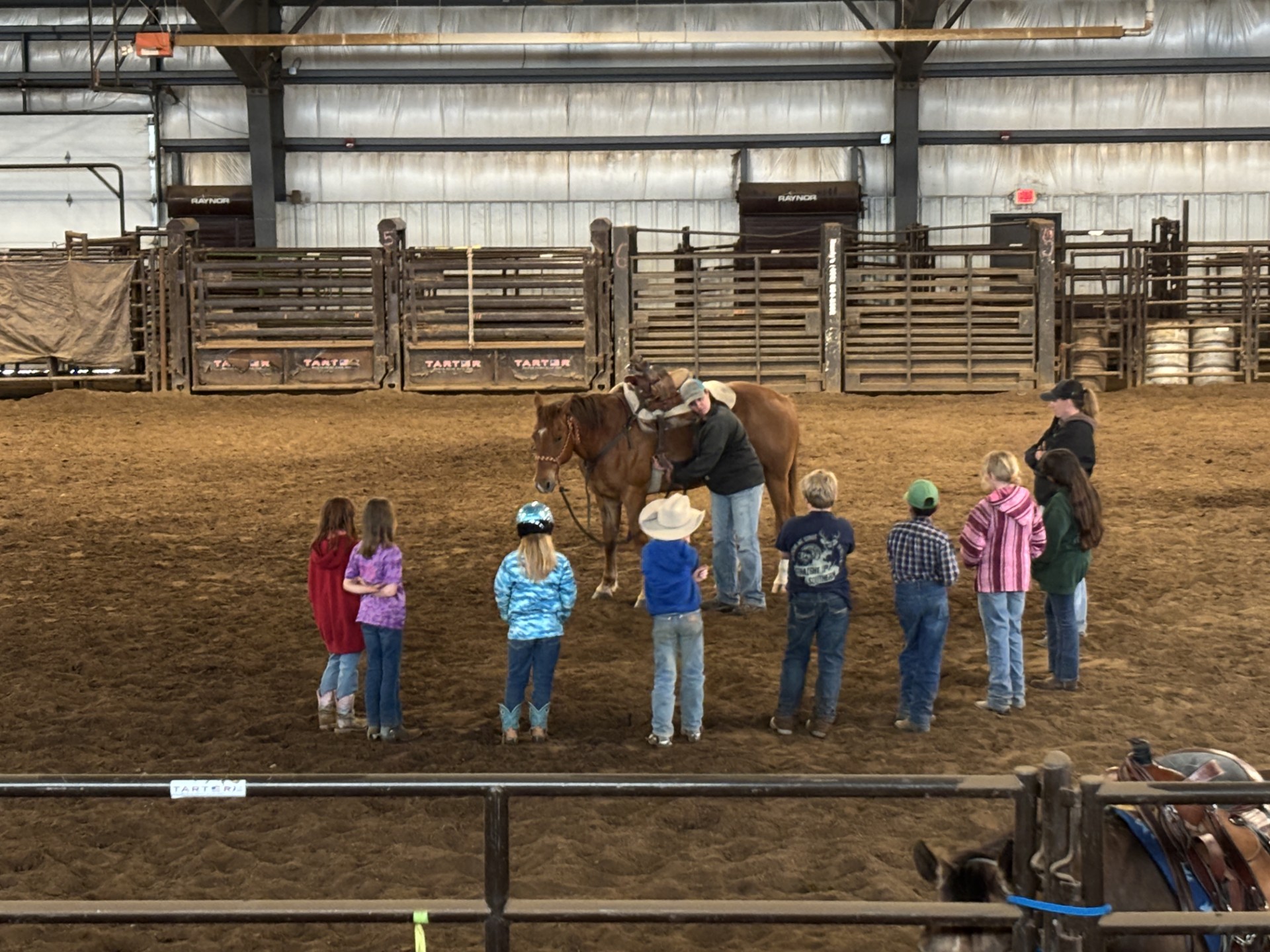 Western Horsemanship Level 1-2 Members 