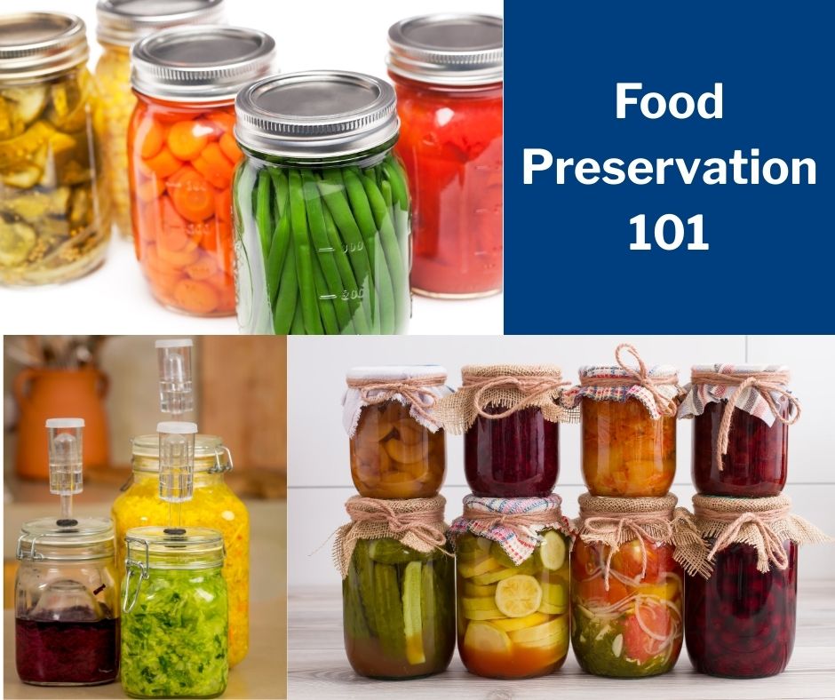 Food Preservation 101 Text Food Preservation 101 with images of jars with a variety of preserved foods