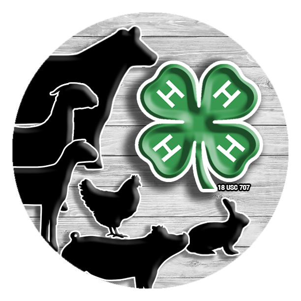 4-H Animal images