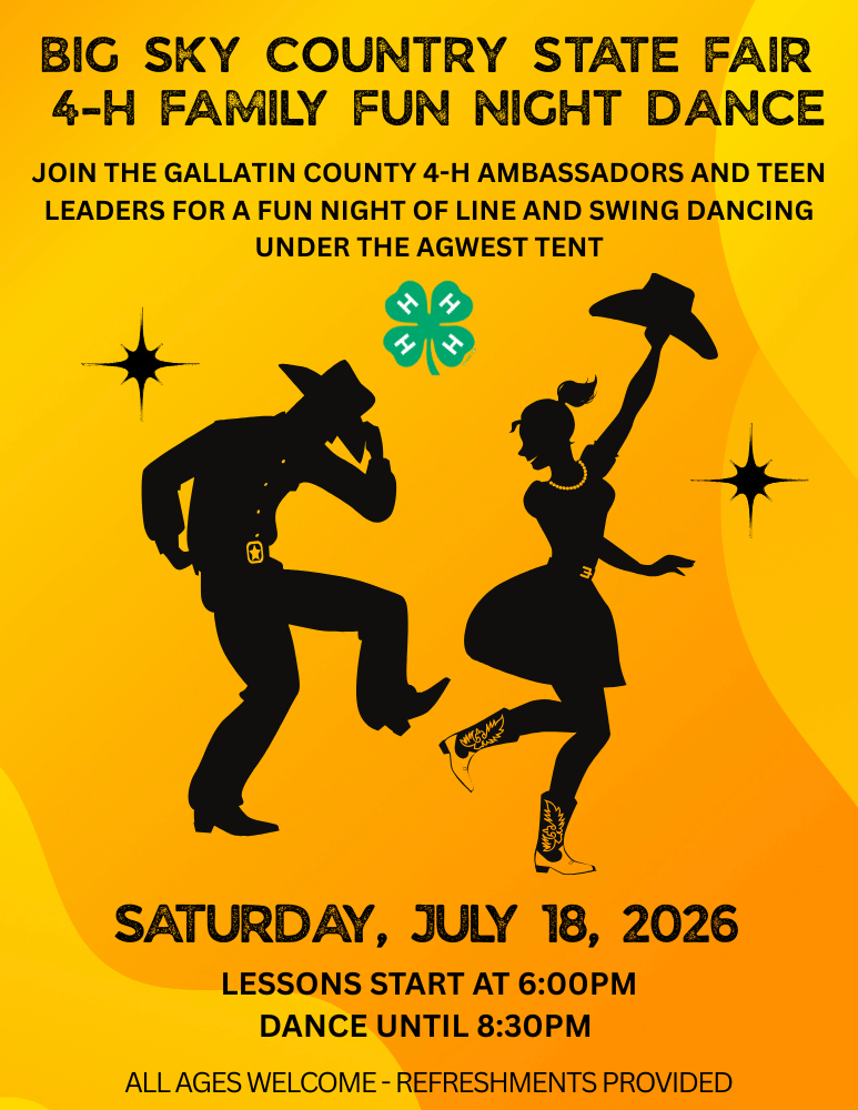 2026 Fair Dance Flyer