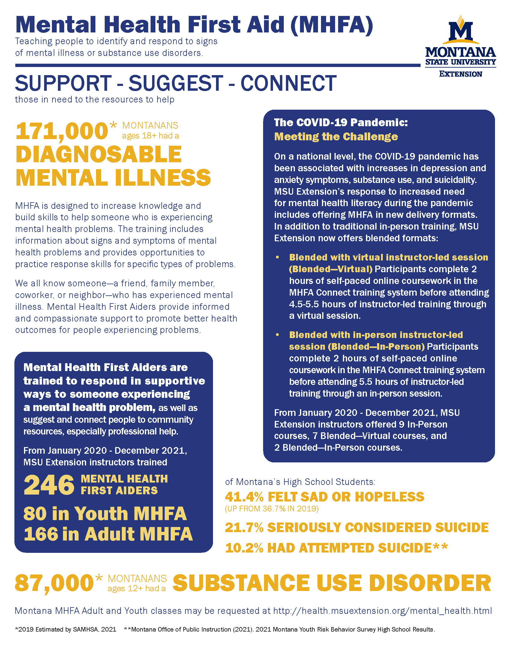 2021 MHFA infographic report