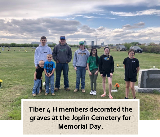 Tiber 4-H Cemetary 