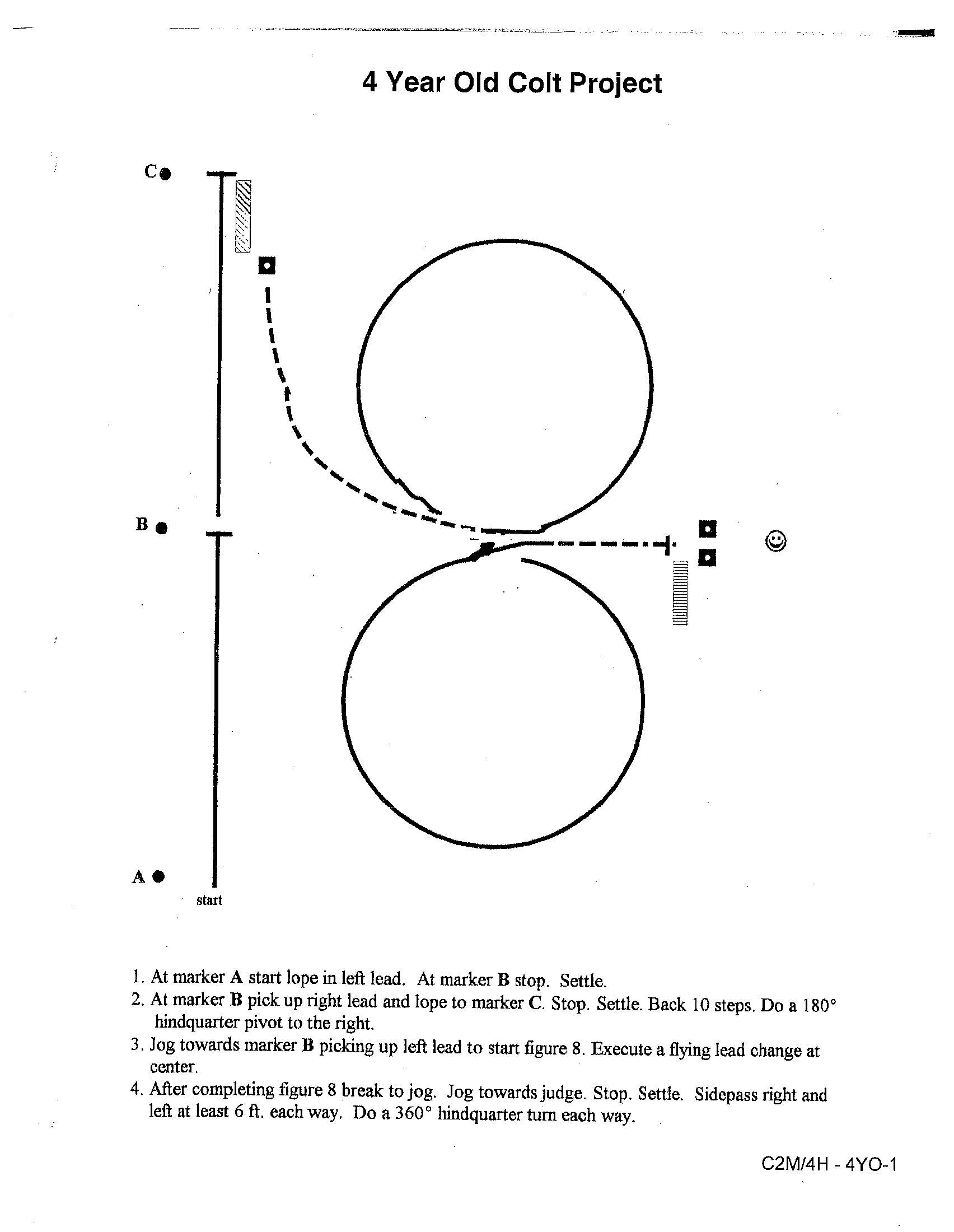 4 yr old colt project