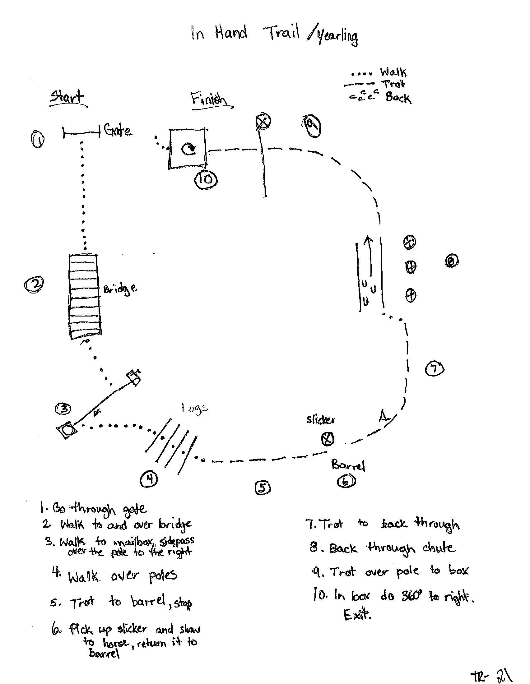 In Hand Trail Yearling