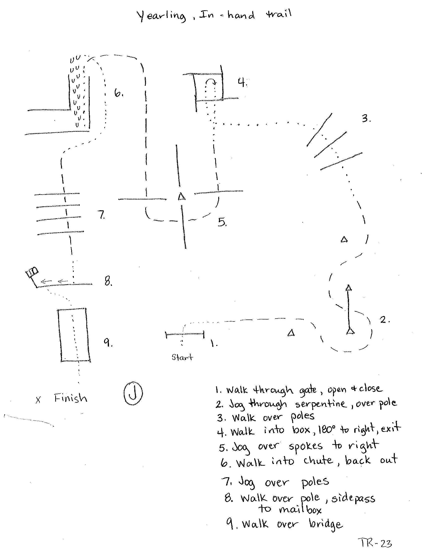 Yearling in hand trail
