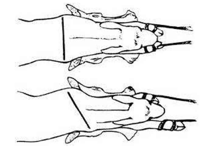 diagram showing the pull of one foot rather than both