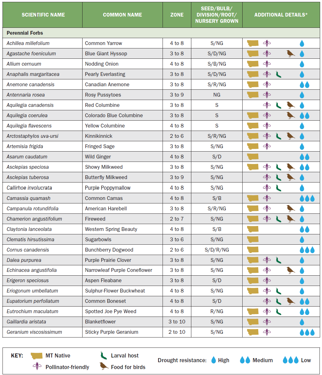 a chart that explains the scientific name, common name, zone, seed, and additional details about native plants