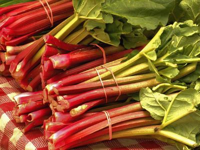 rhubarb in a pile