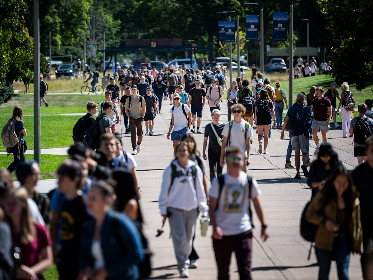 A crowd of students walking in a paved common area walkway