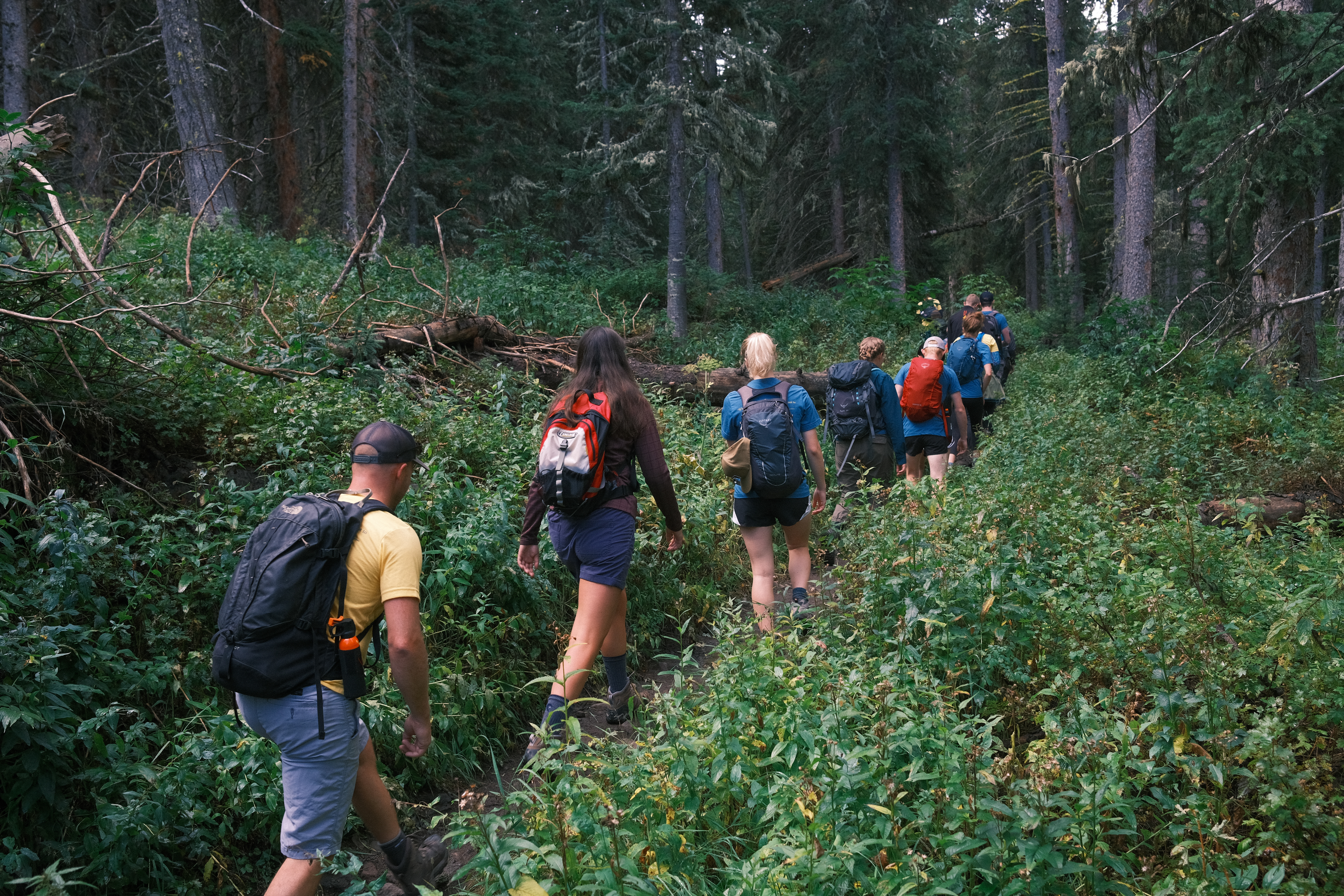 Honors College students leading Hike & Read hikes.