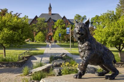 Bronze wildcat statue on campus walkway with historic academic building and trees in the background.