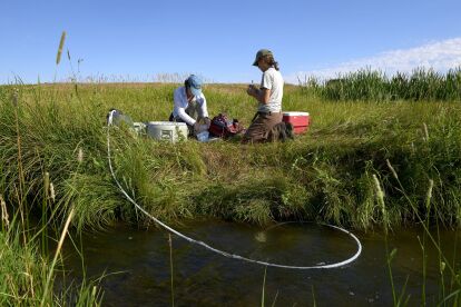 Two researchers collect water samples by a stream in a grassy field under a clear sky.