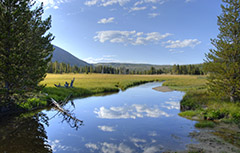 Blue sky reflecting on a lake