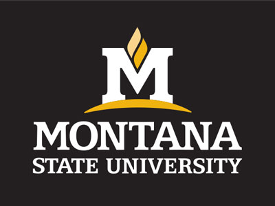 MSU reverse color logo