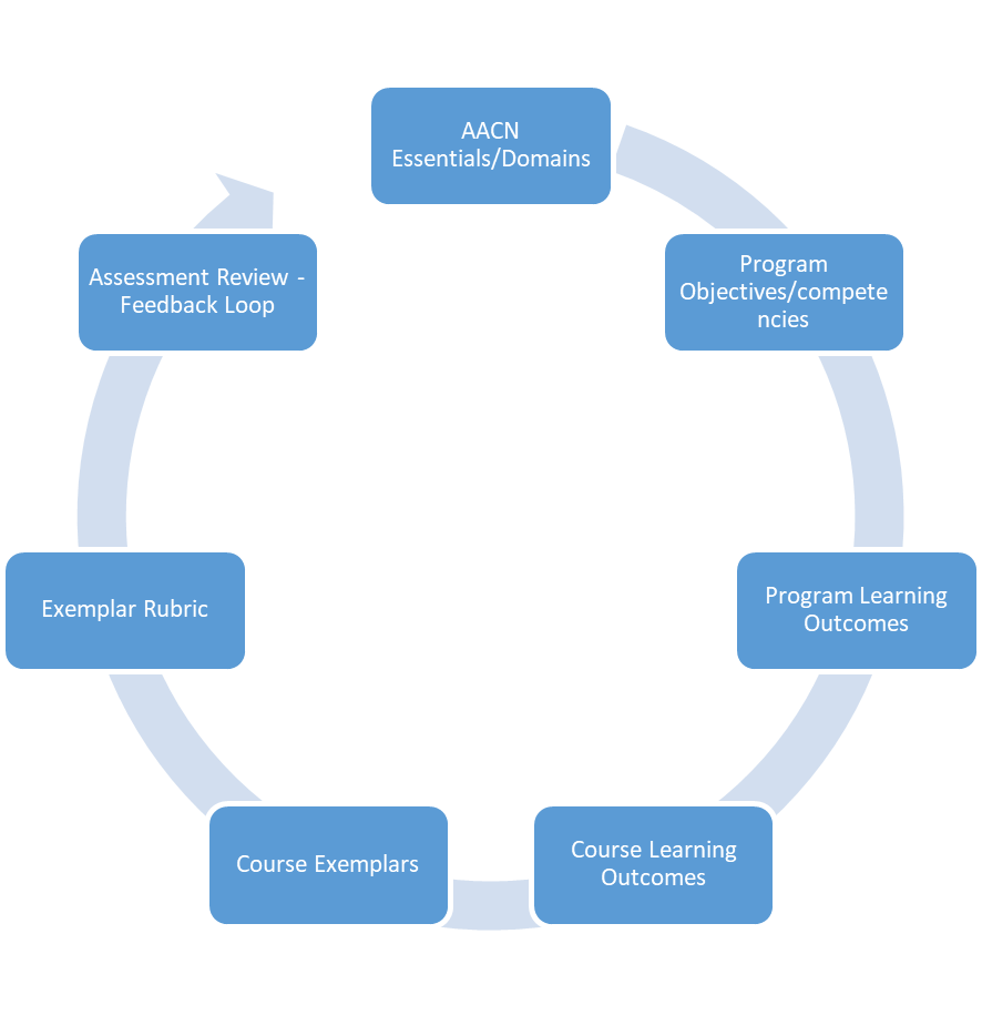 Cycle of domains, program objective, plo's, clo's, course exemplars, exemplar rubric, to assessment review and feedback loop