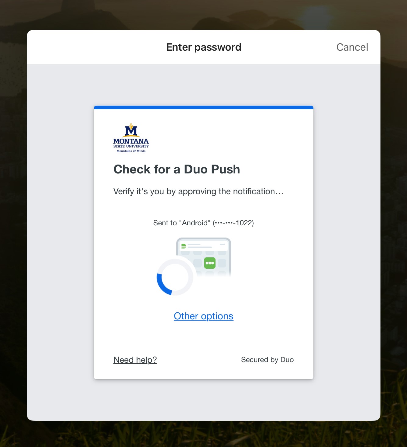 Duo push notification.