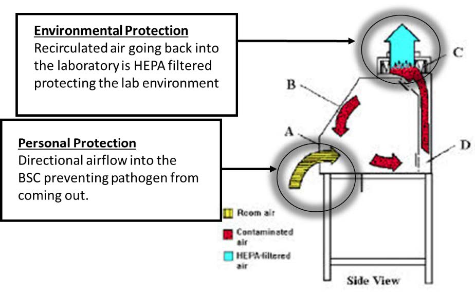 Class I BSC diagram