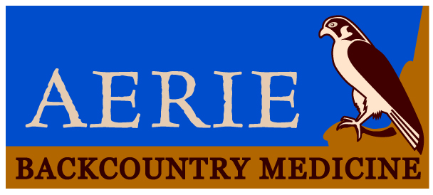 aerie logo