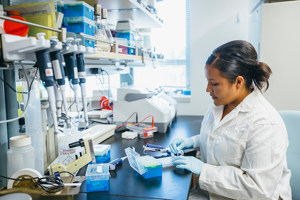 A student working in a lab