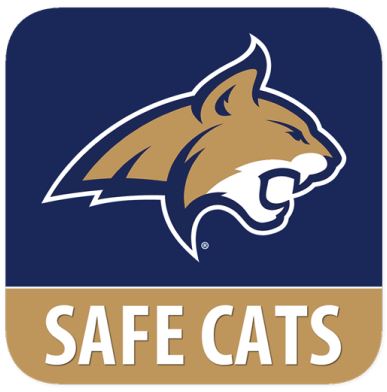 Safe Cats